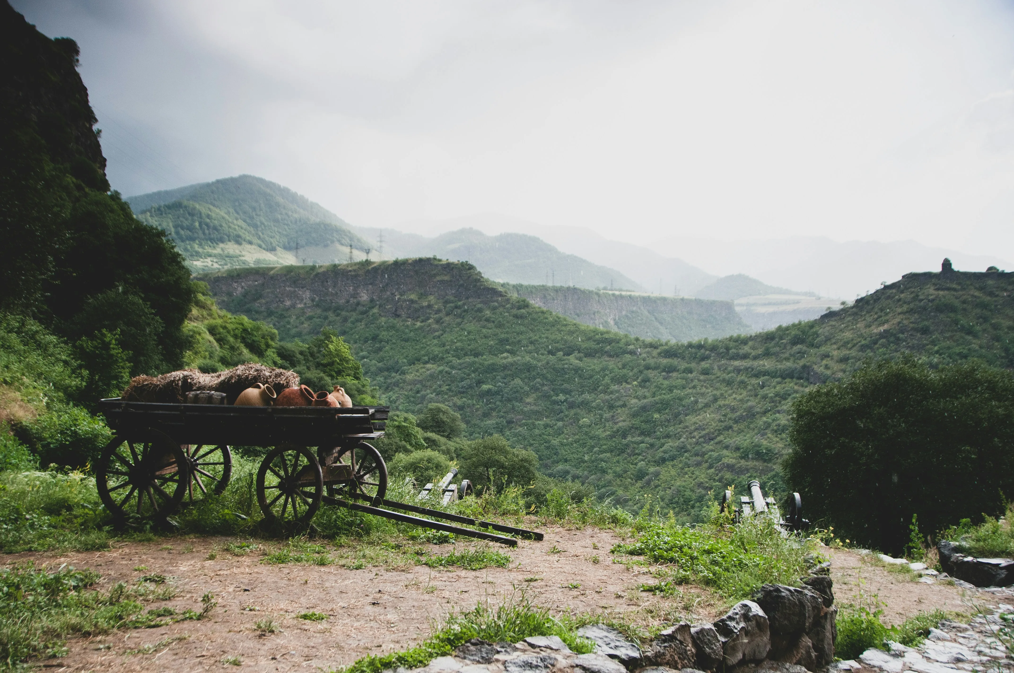 cart-unsplash